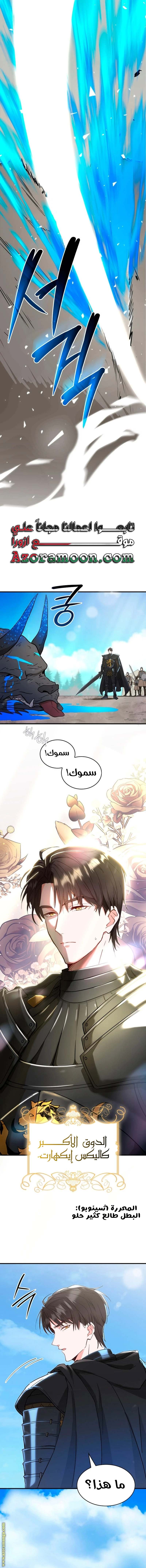 الصفحة 15