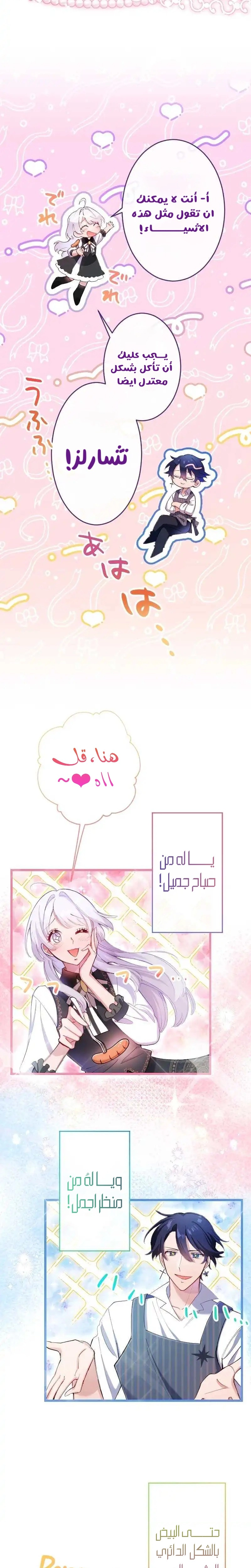 الصفحة 8