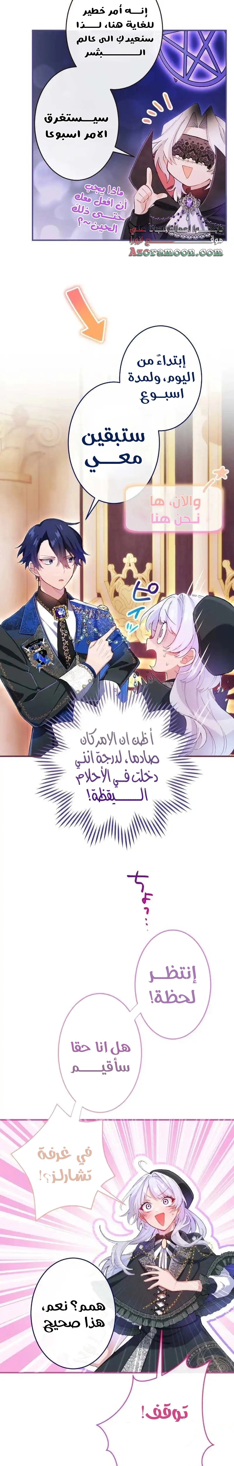 الصفحة 12