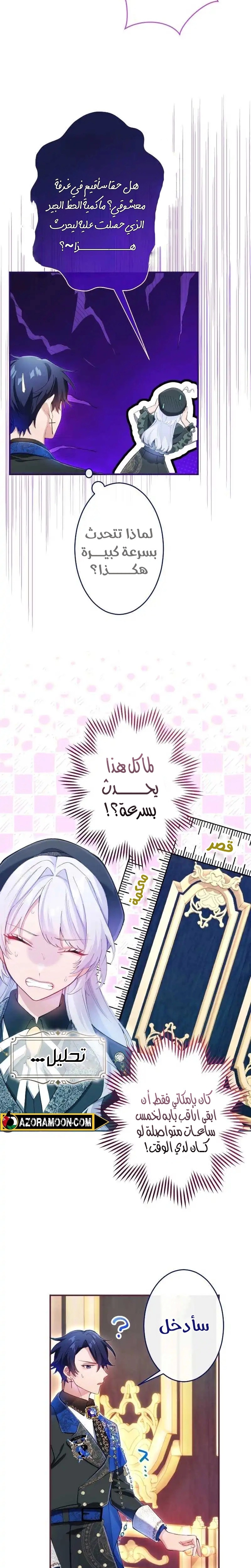 الصفحة 13