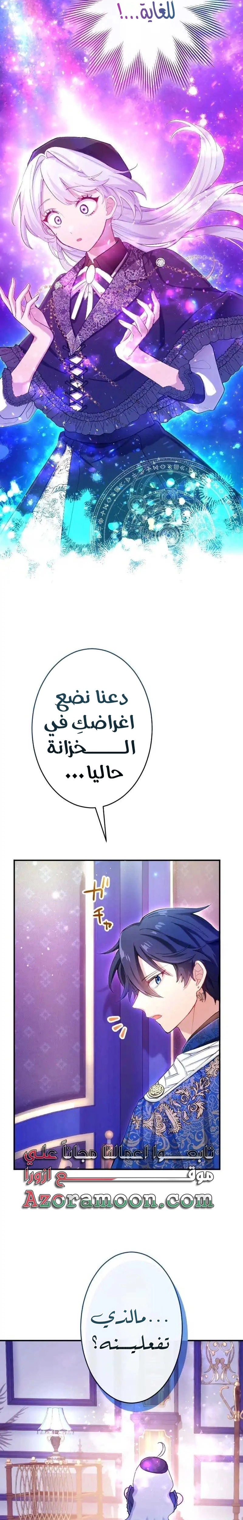الصفحة 17