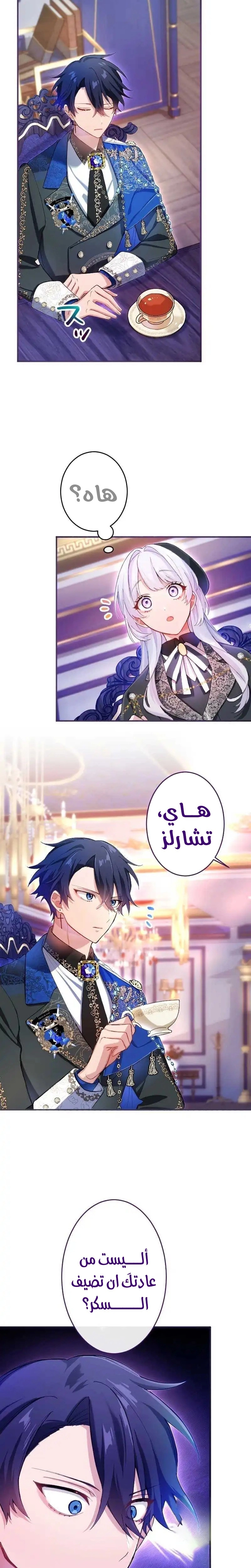 الصفحة 21