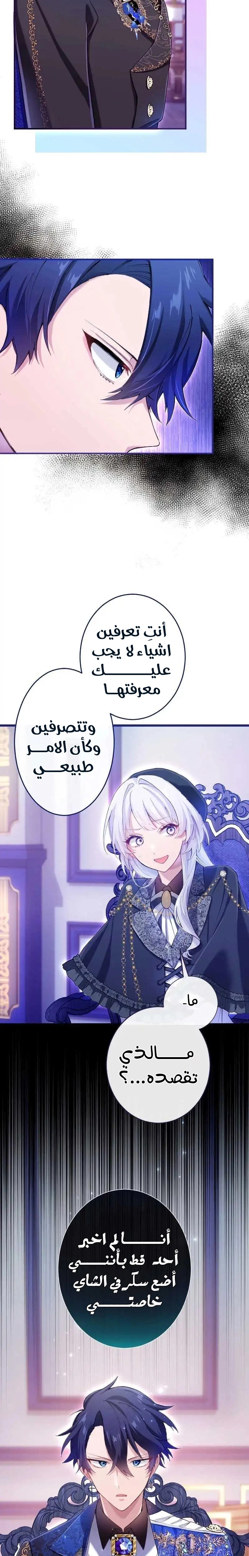 الصفحة 24