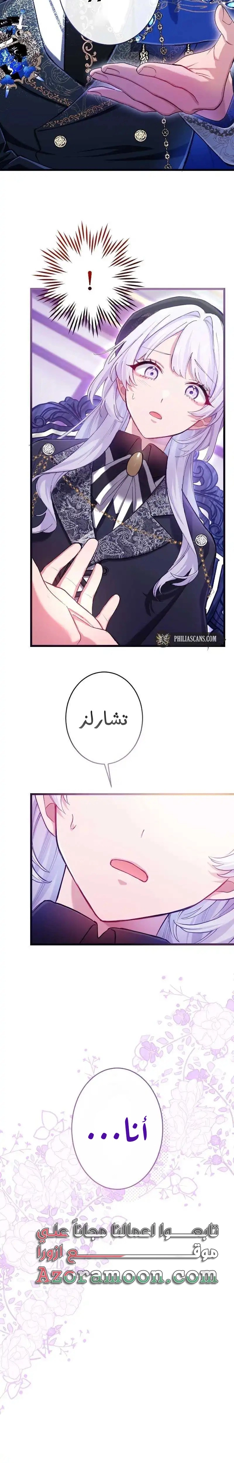 الصفحة 27