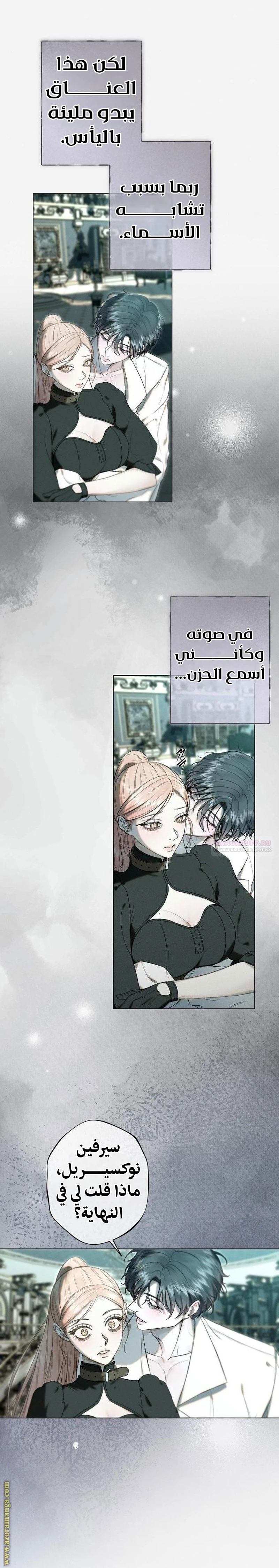 الصفحة 25