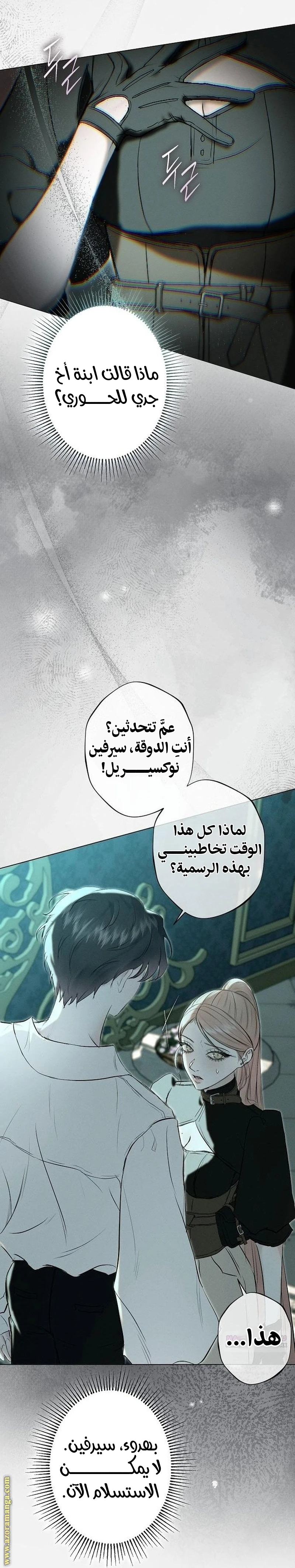 الصفحة 30