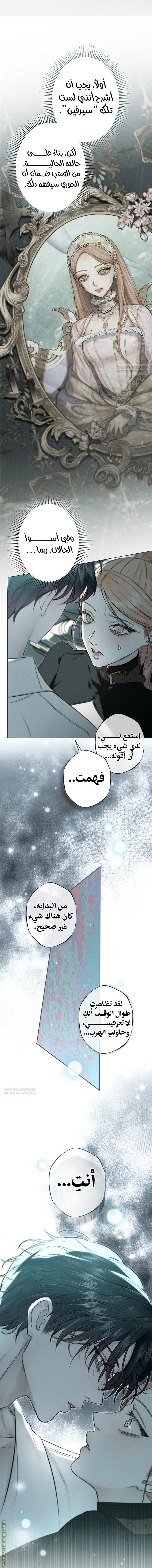 الصفحة 31