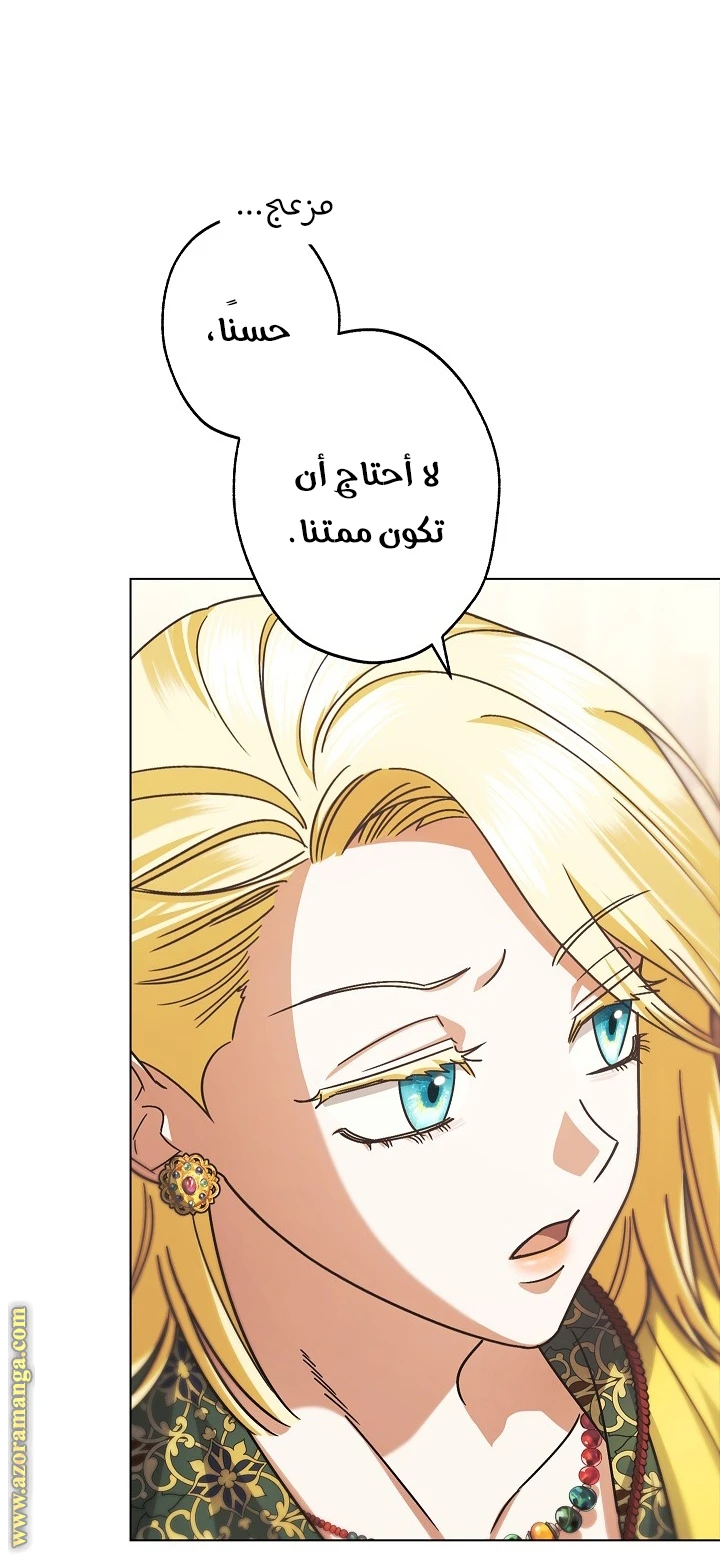 الصفحة 25