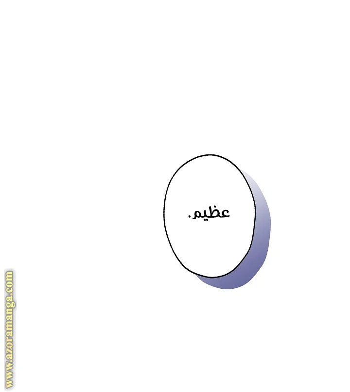 الصفحة 27