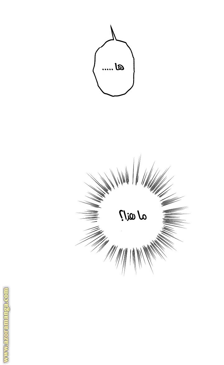 الصفحة 40