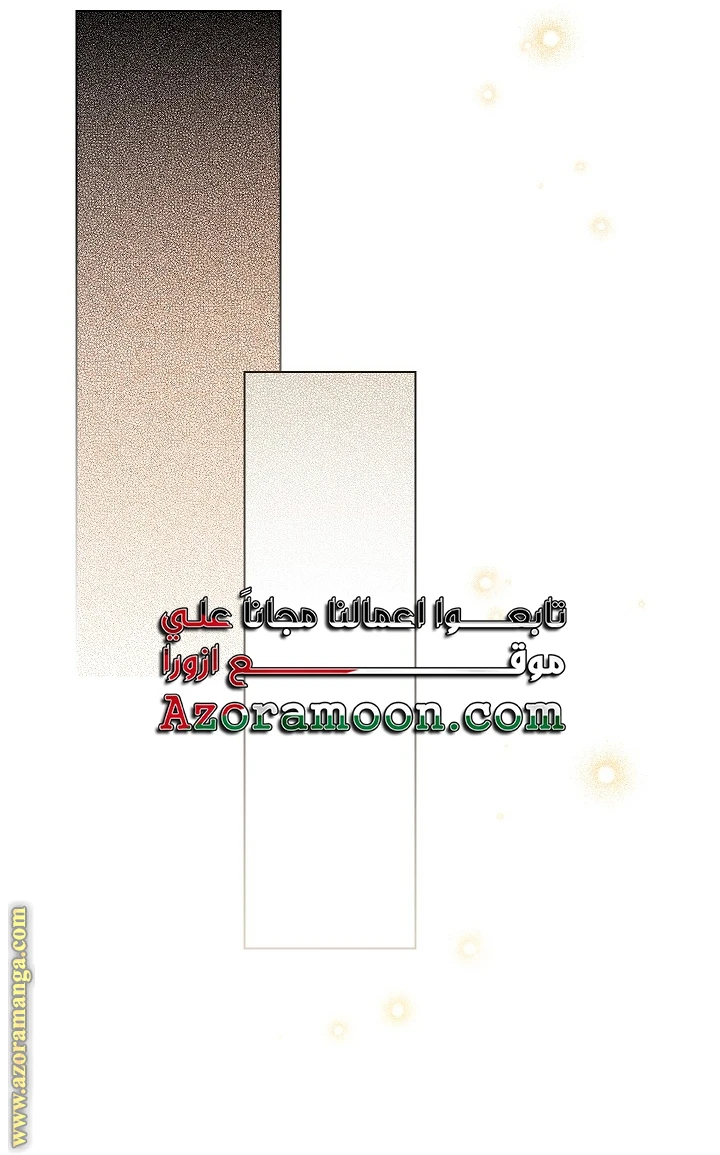 الصفحة 43