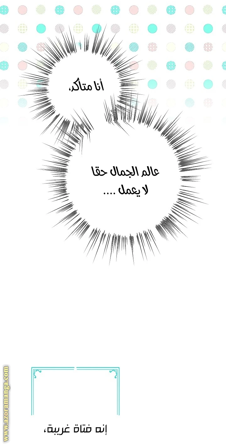 الصفحة 47