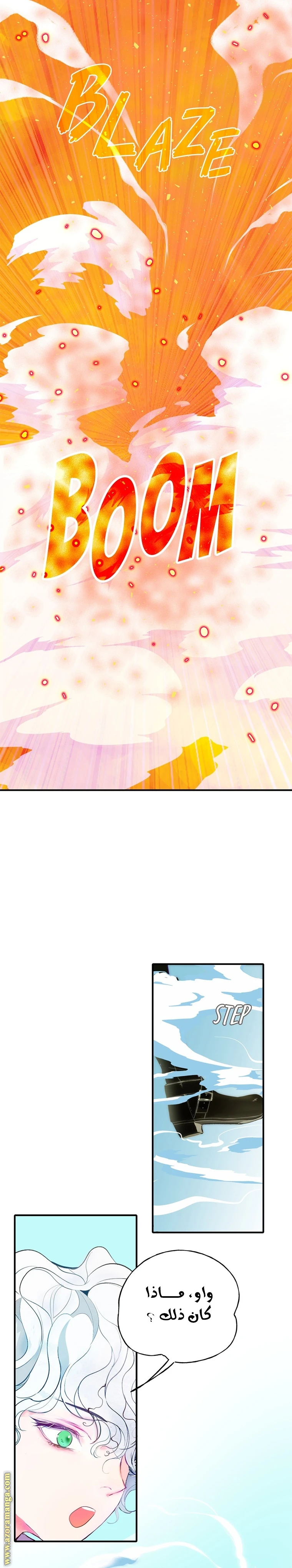 الصفحة 19