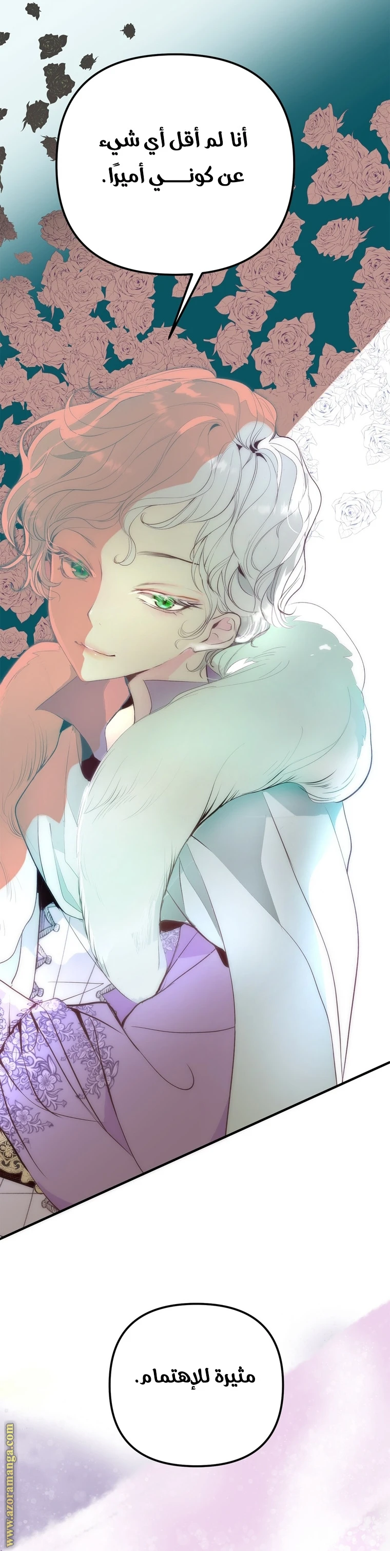 الصفحة 31