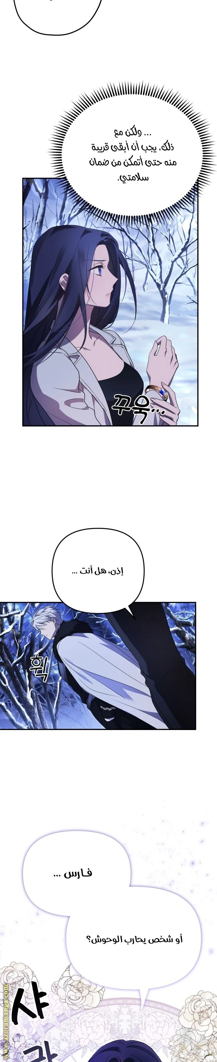 الصفحة 27