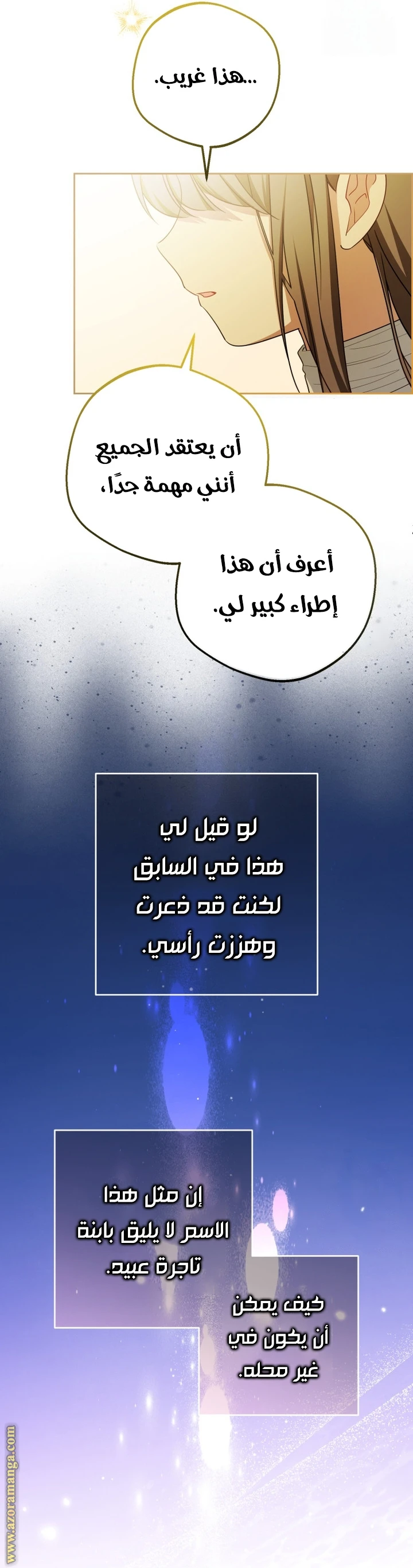 الصفحة 13