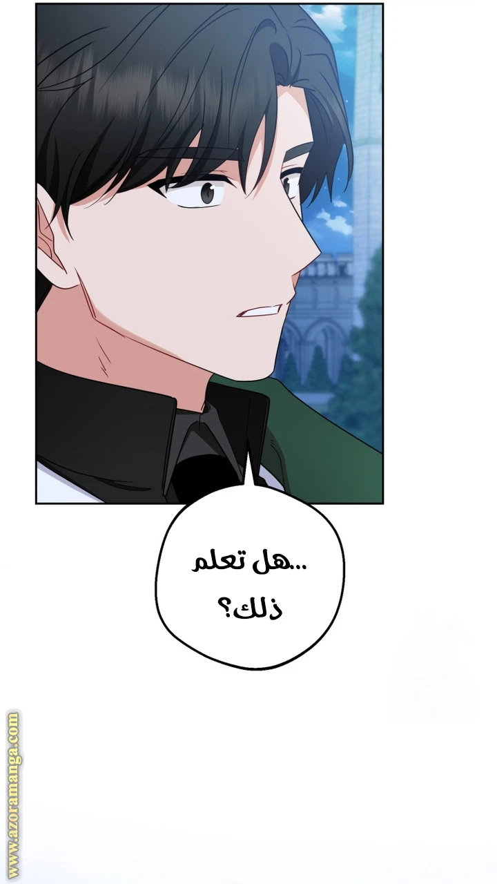 الصفحة 29