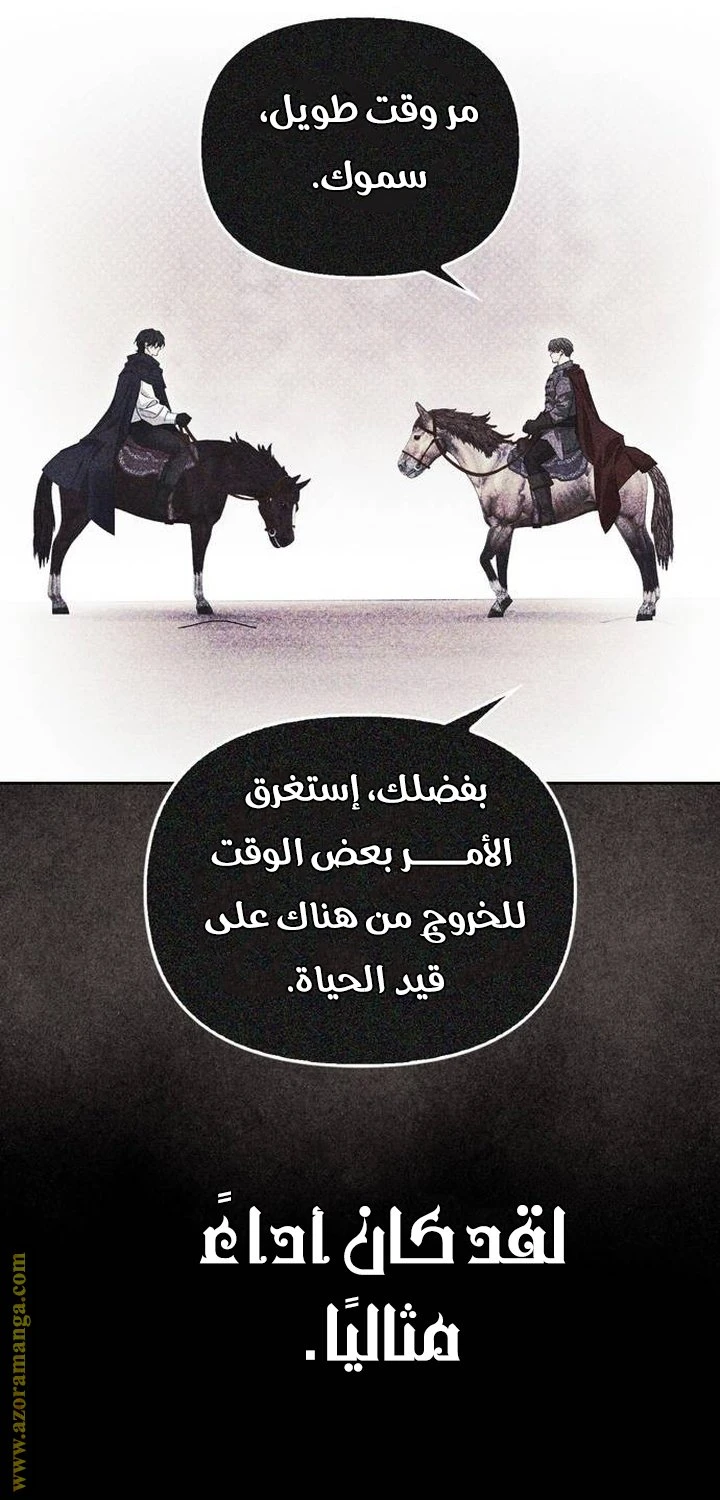 الصفحة 29