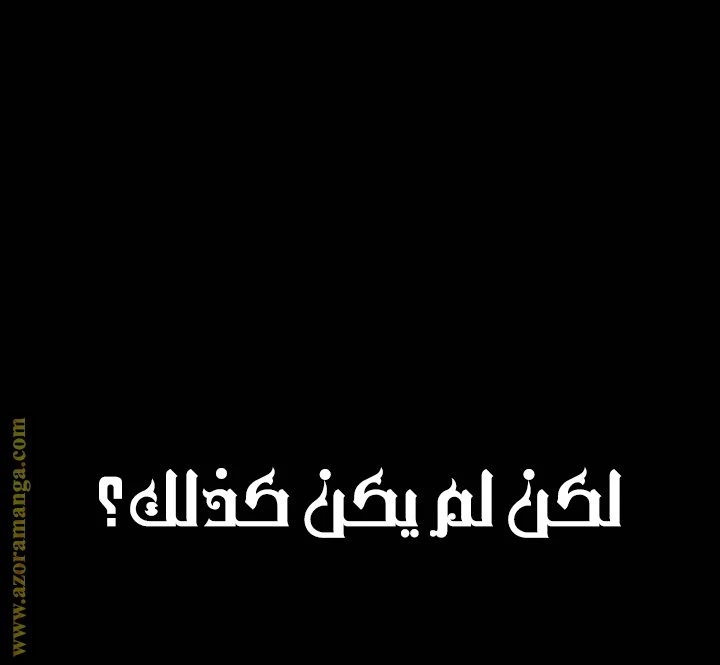 الصفحة 31