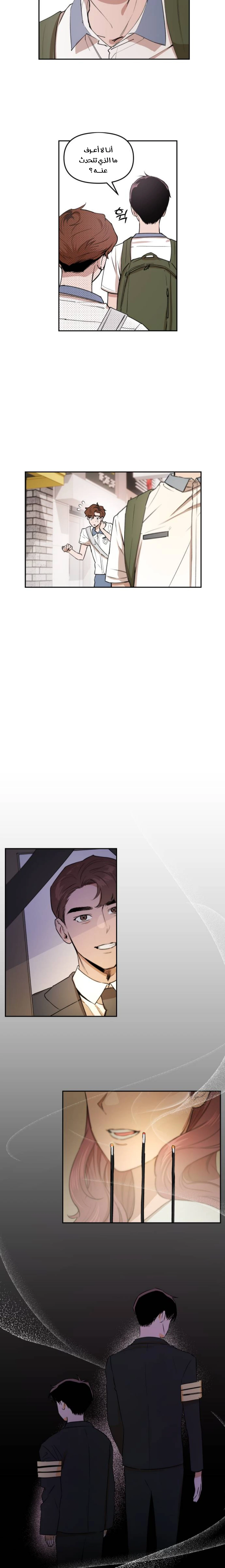 الصفحة 13