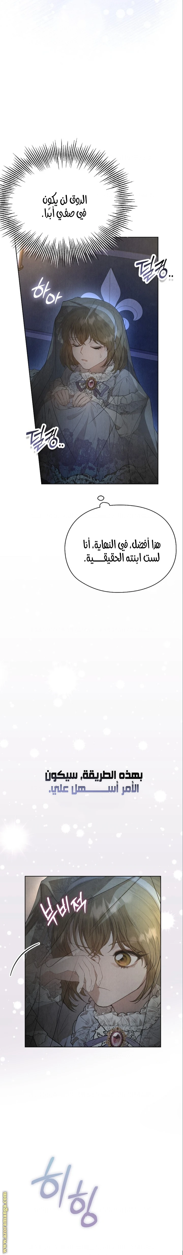 الصفحة 27