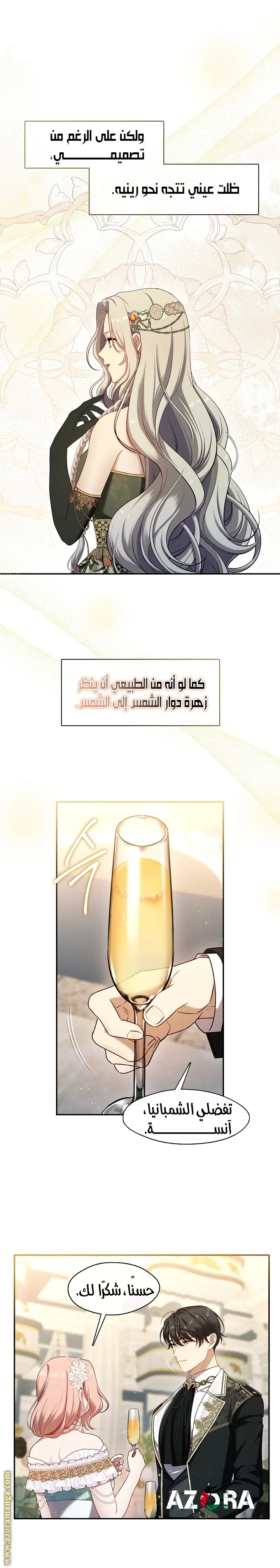 الصفحة 15