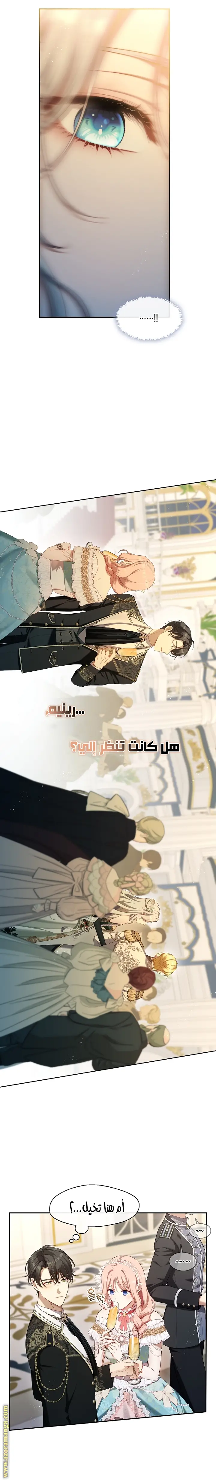 الصفحة 17