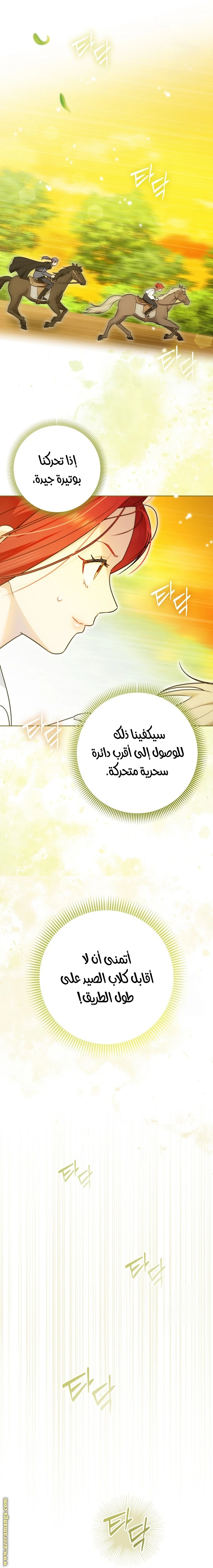 الصفحة 13