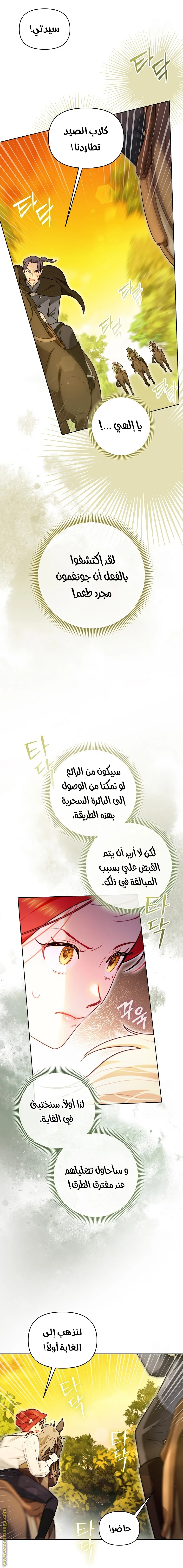الصفحة 14