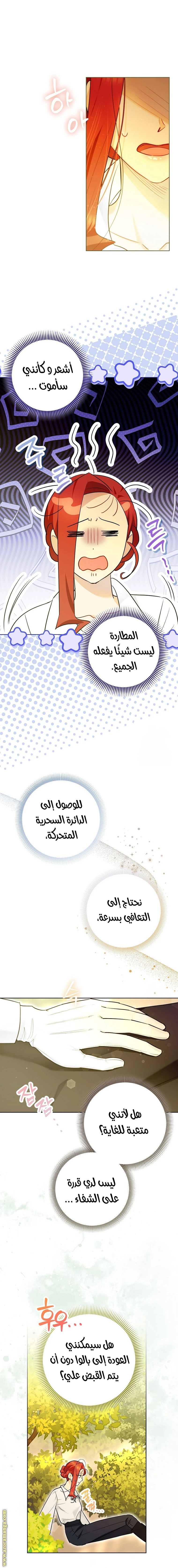 الصفحة 17