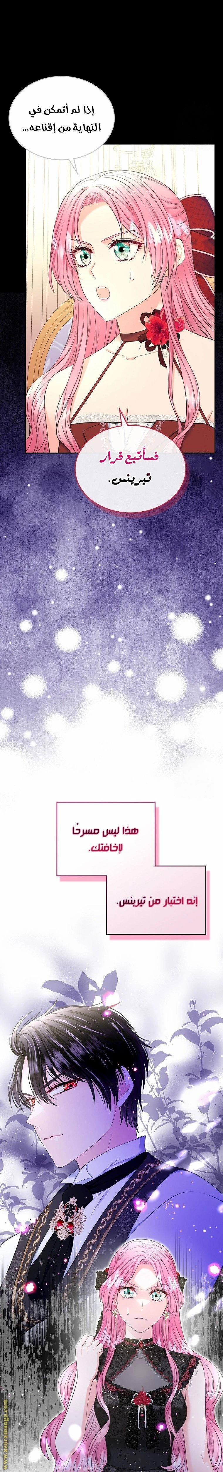 الصفحة 13