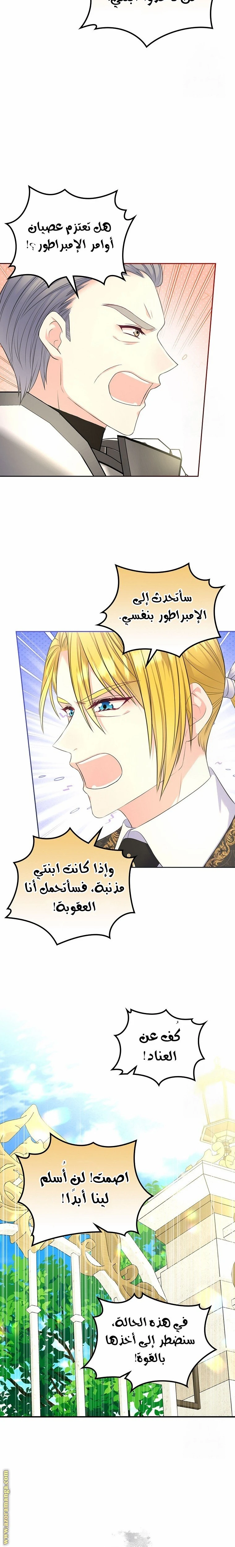 الصفحة 17