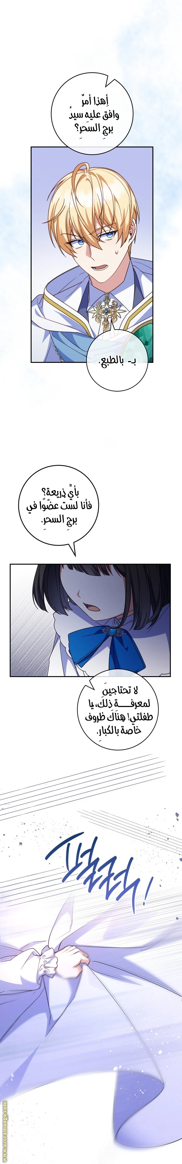 الصفحة 13