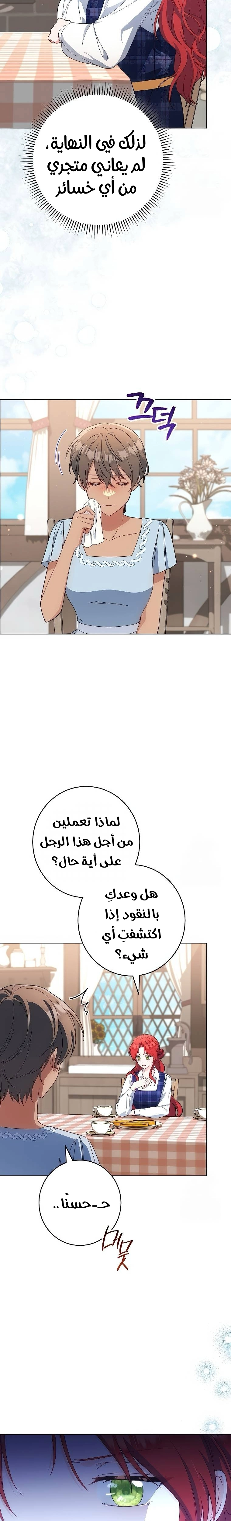 الصفحة 17