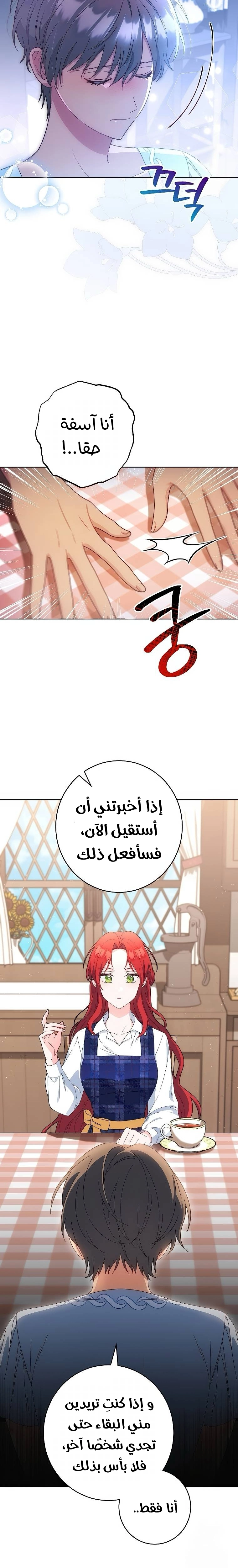 الصفحة 19