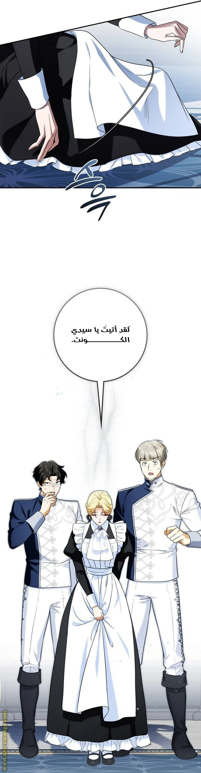 الصفحة 13