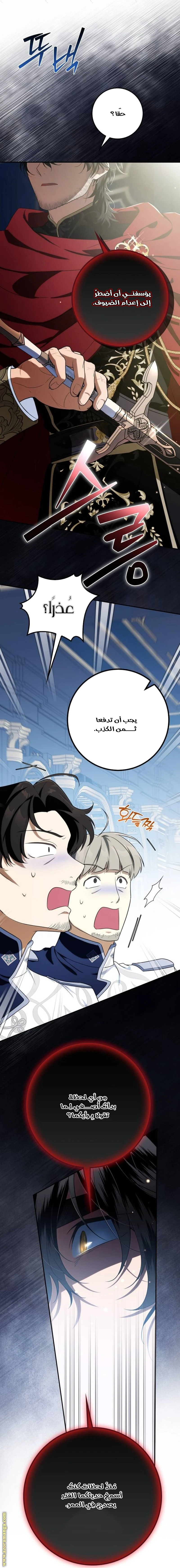 الصفحة 17