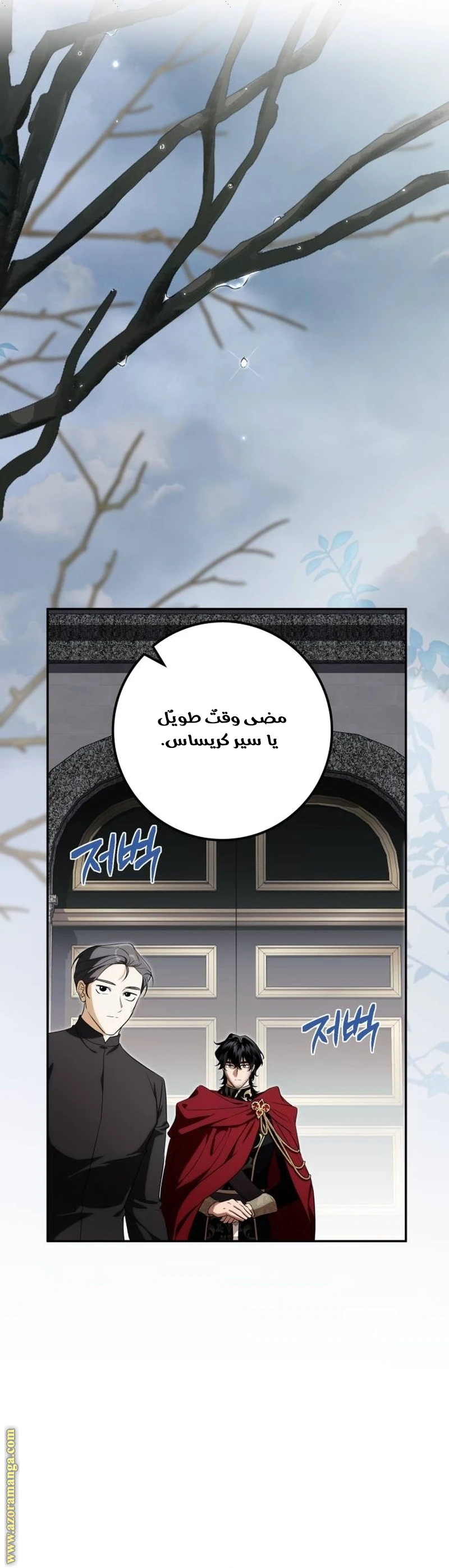 الصفحة 41