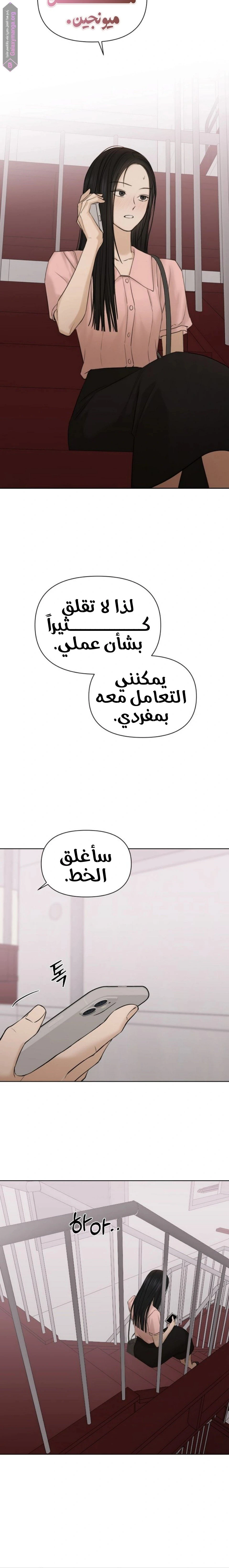 الصفحة 17