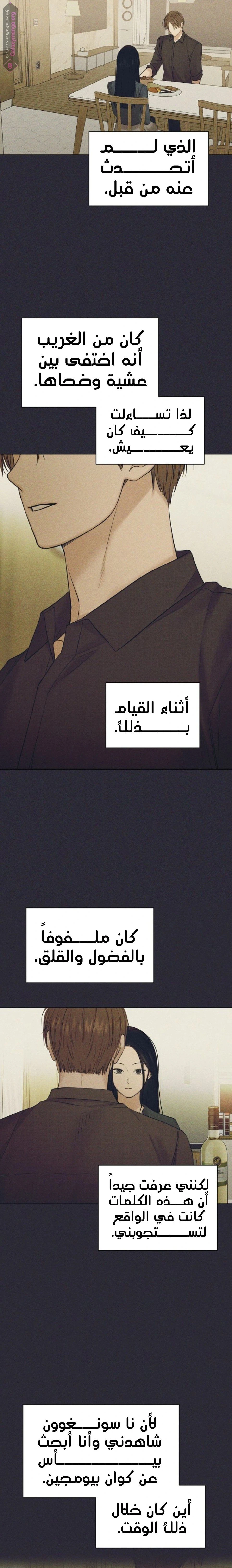 الصفحة 19