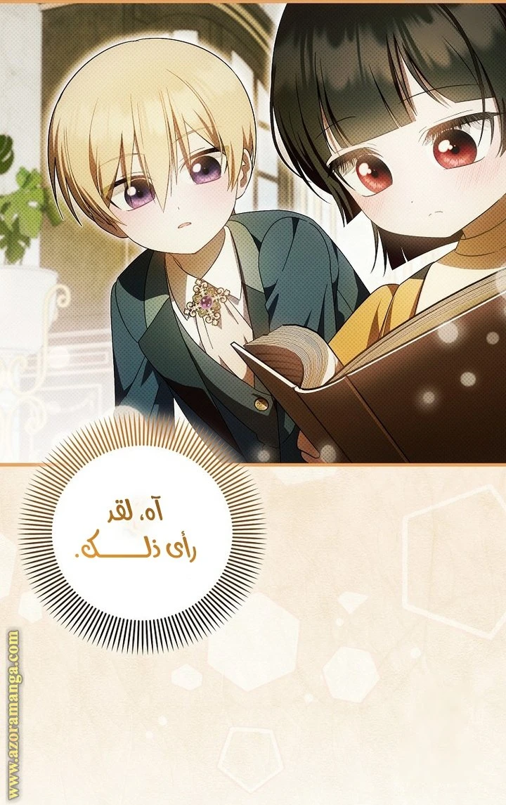 الصفحة 19