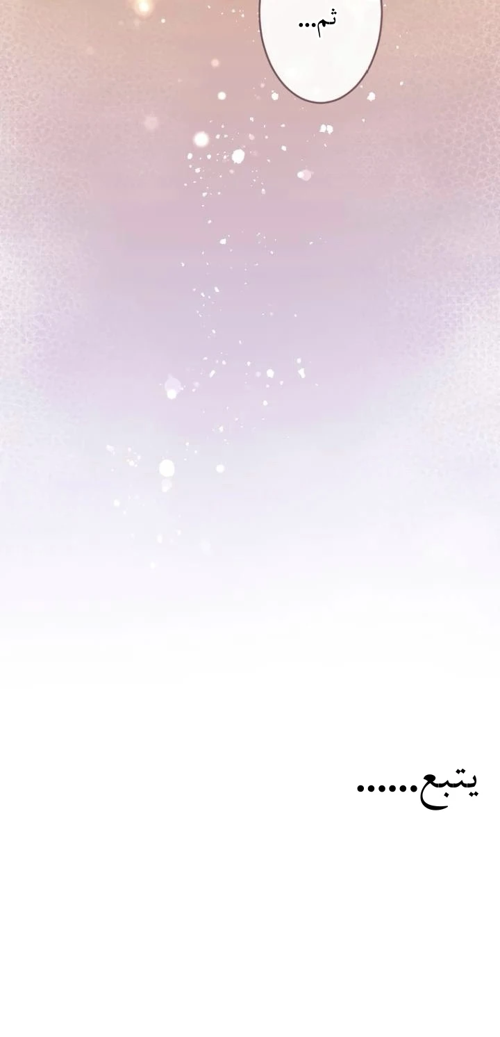 الصفحة 26