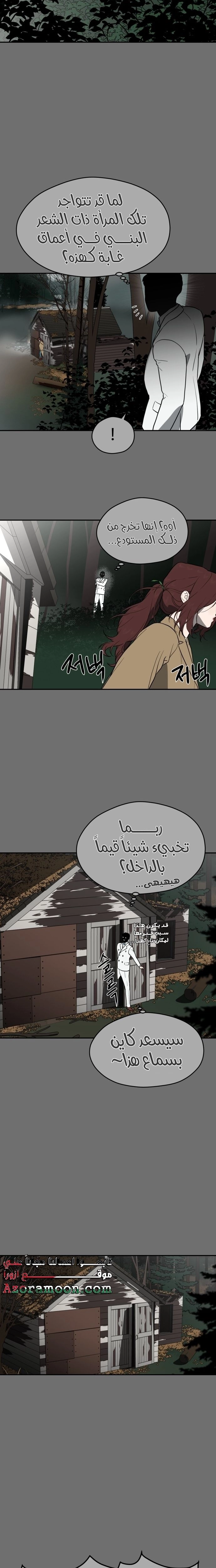 الصفحة 11
