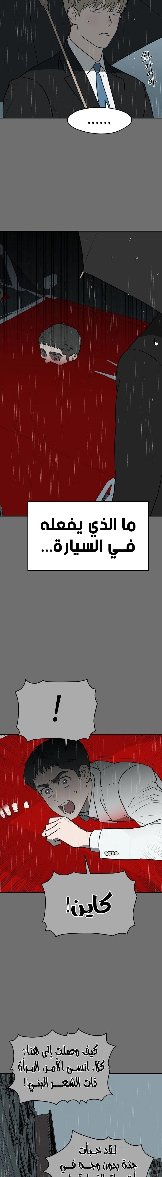 الصفحة 13