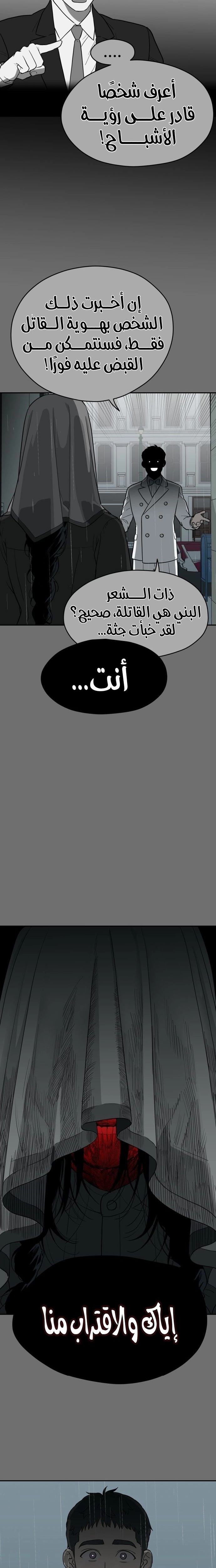 الصفحة 17