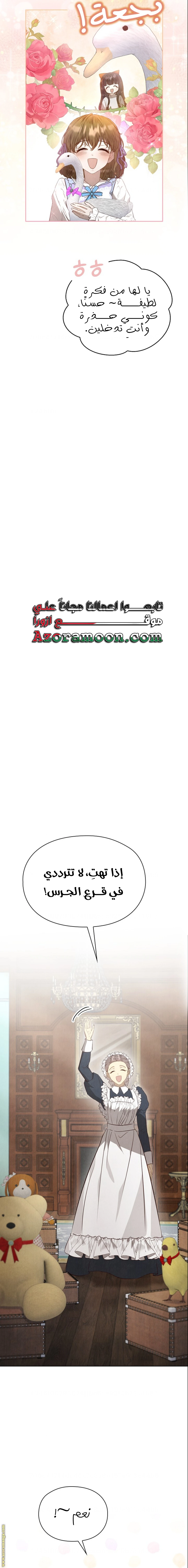 الصفحة 20