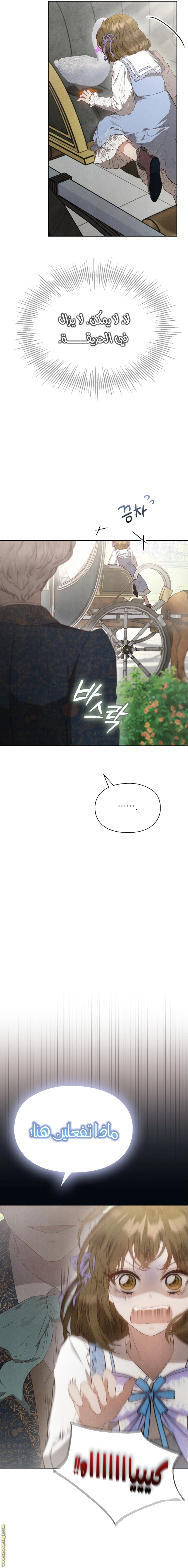الصفحة 23