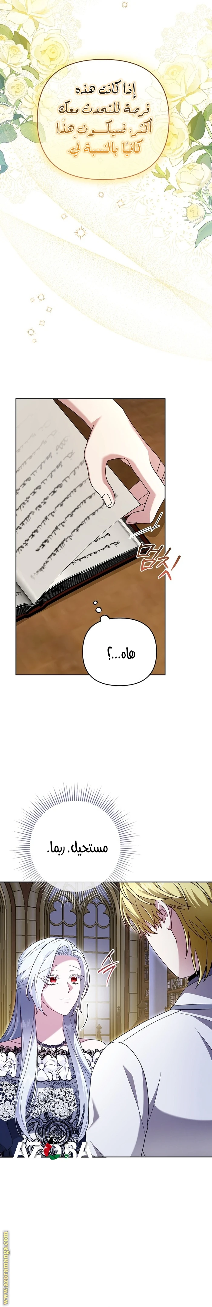 الصفحة 17