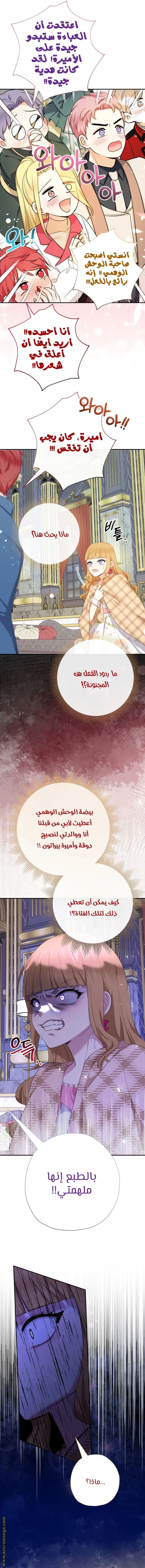 الصفحة 5