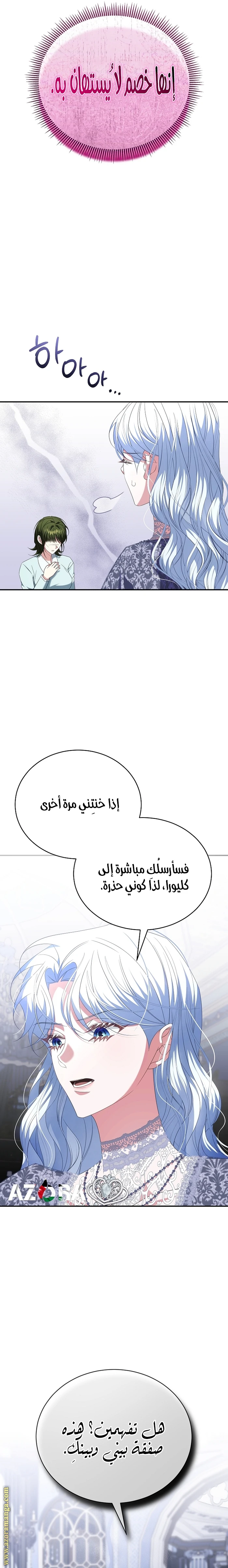 الصفحة 27